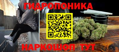 прущие крисы Беслан