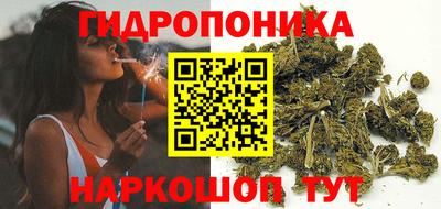 прущие крисы Беслан