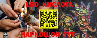 прущие крисы Беслан
